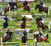 Tävlingsbilder på ryttare och hästar från Andreagården 2014